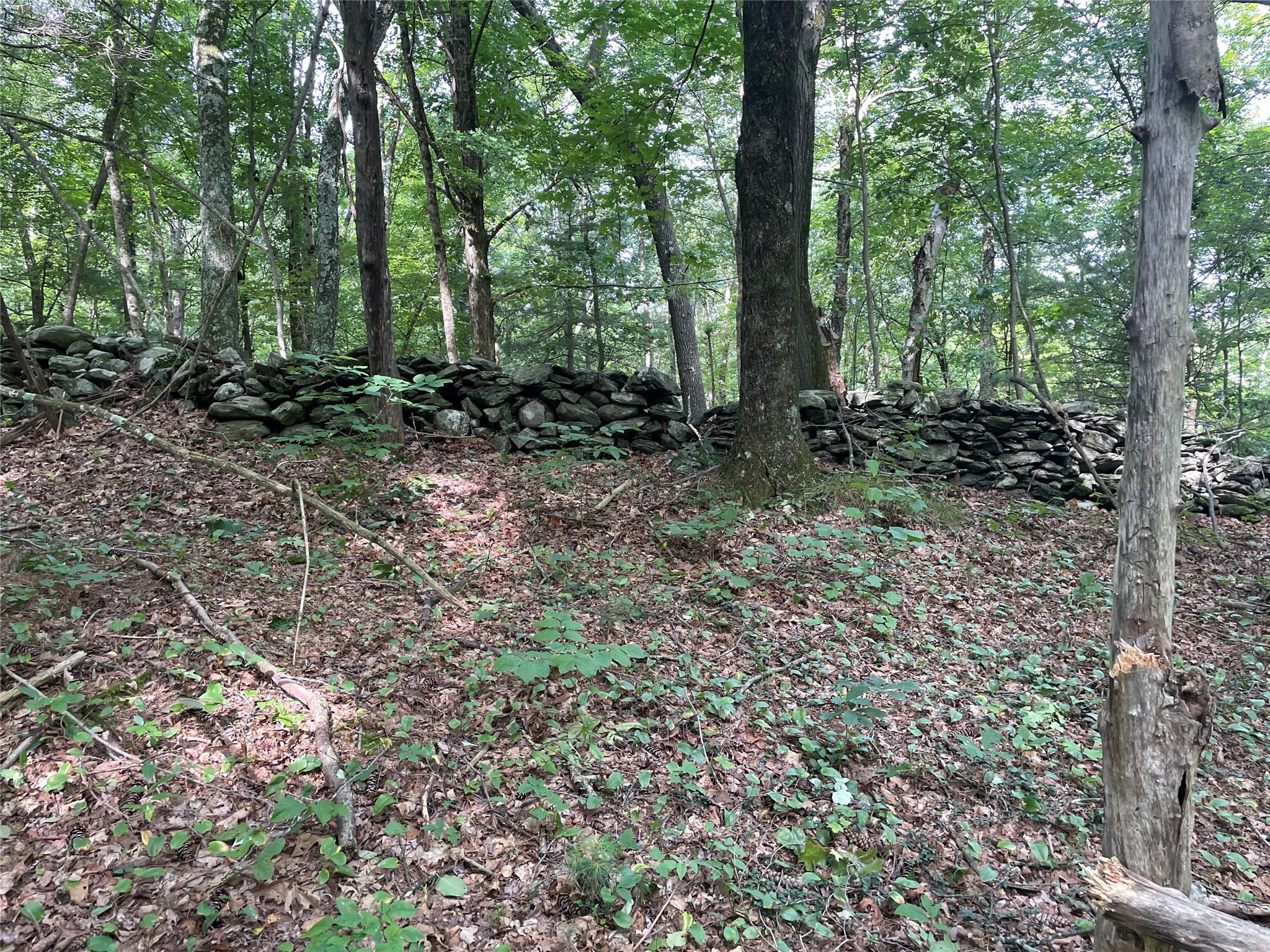 #10 photo, Fiddler's Bridge/Schoolhouse Rd, Clinton Corners , NY 