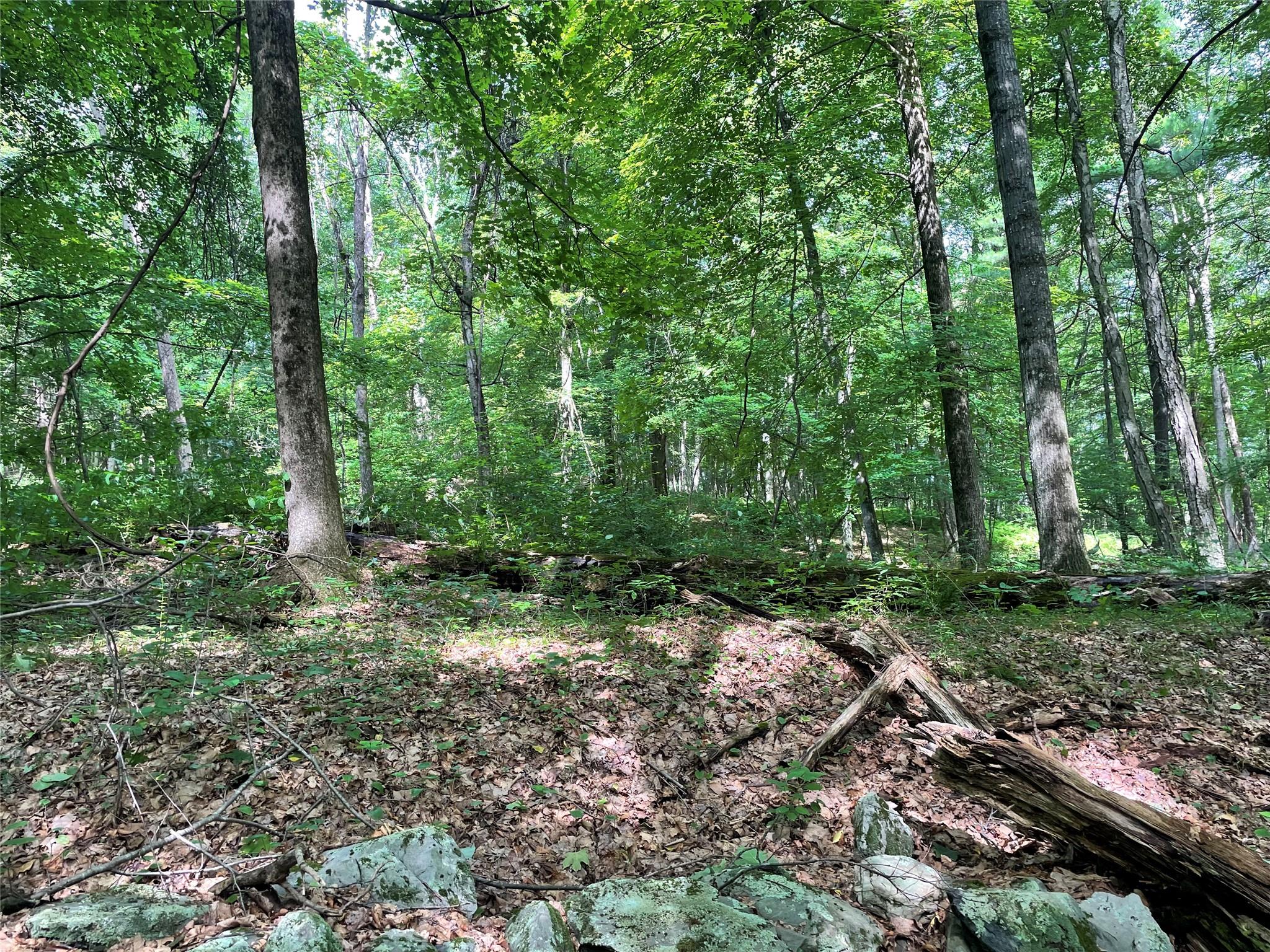 #11 photo, Fiddler's Bridge/Schoolhouse Rd, Clinton Corners , NY 