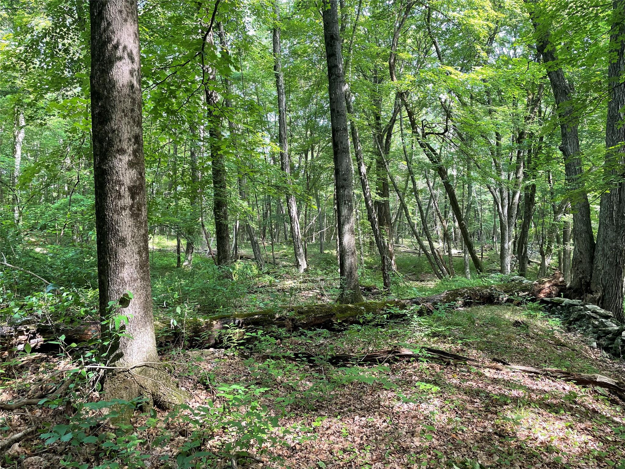 #12 photo, Fiddler's Bridge/Schoolhouse Rd, Clinton Corners , NY 