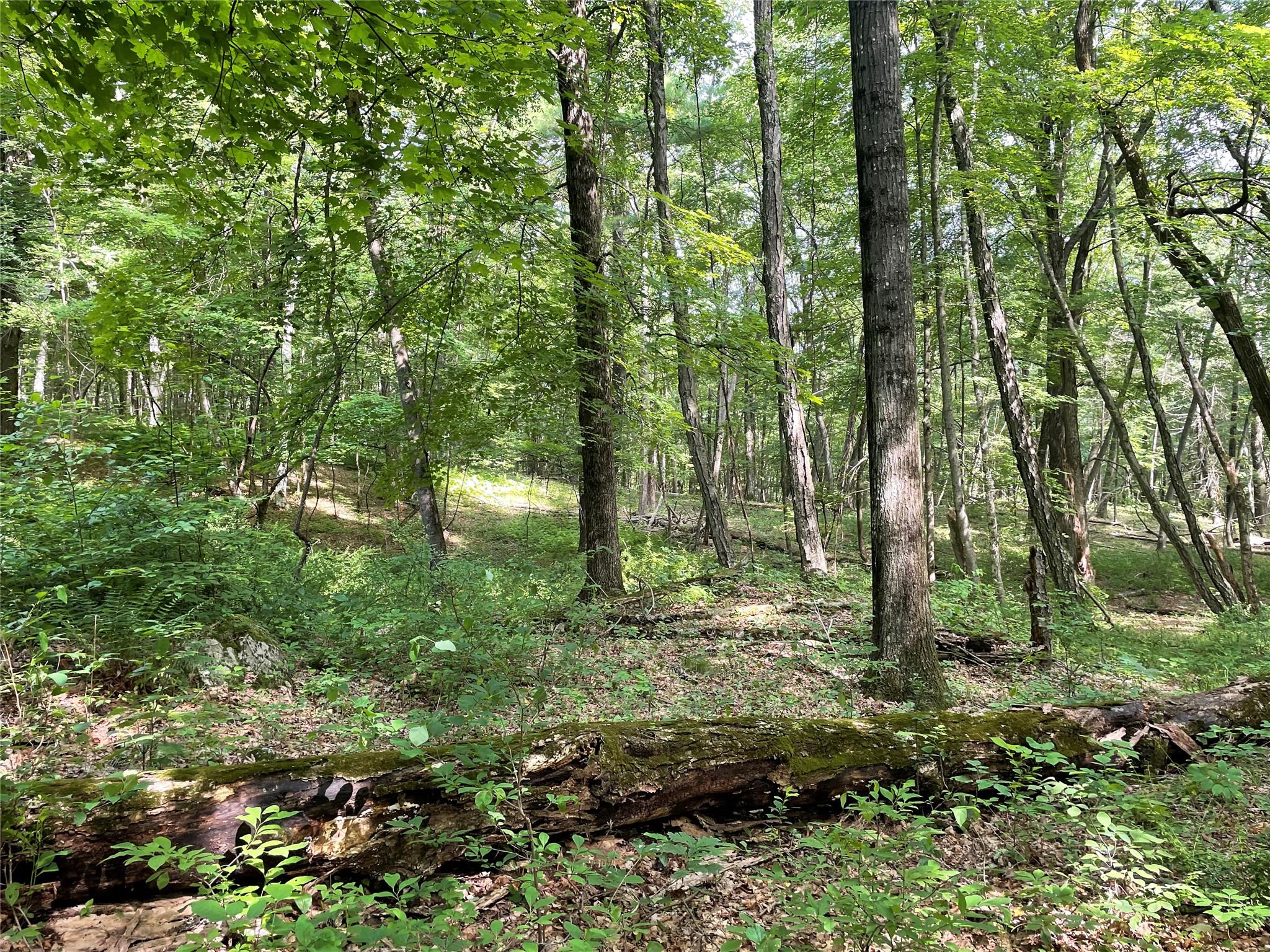 #13 photo, Fiddler's Bridge/Schoolhouse Rd, Clinton Corners , NY 