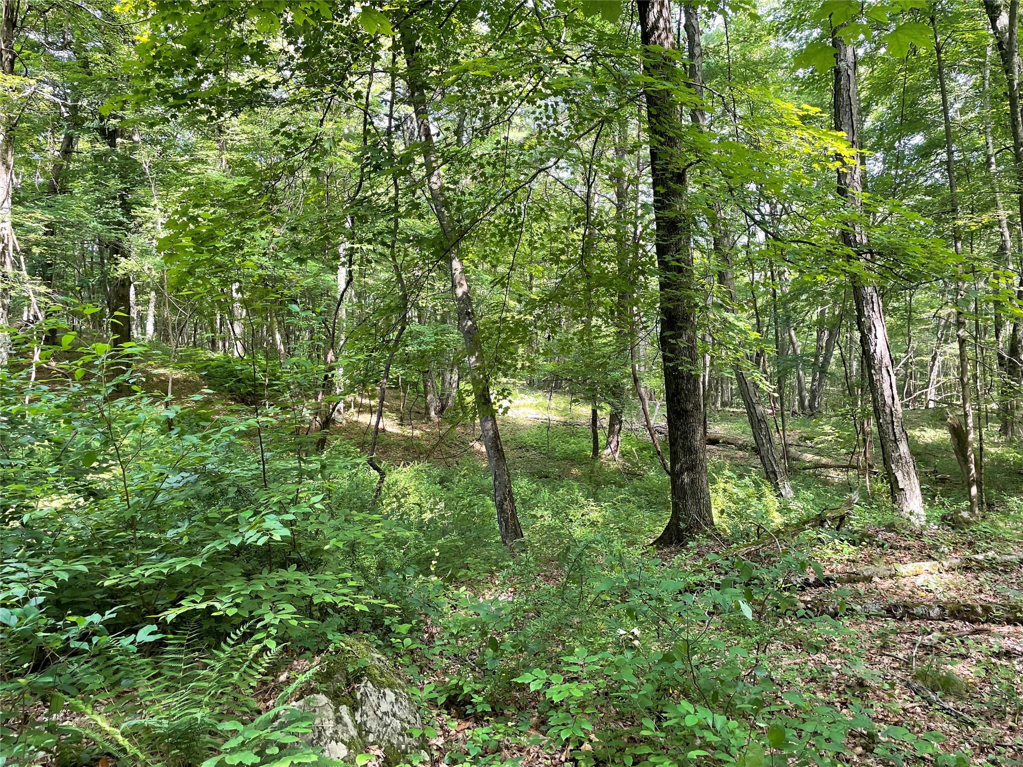 #14 photo, Fiddler's Bridge/Schoolhouse Rd, Clinton Corners , NY 