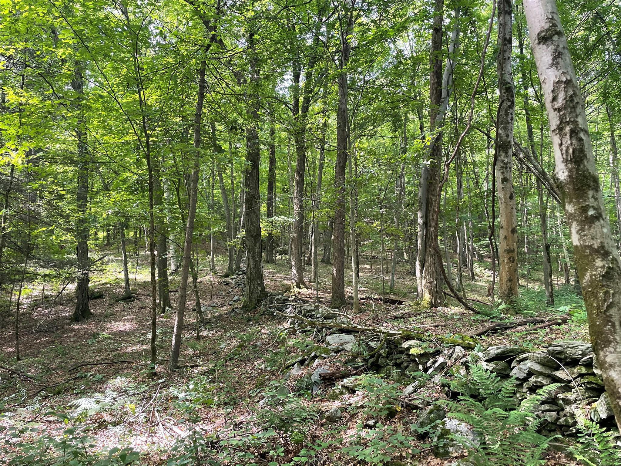 #15 photo, Fiddler's Bridge/Schoolhouse Rd, Clinton Corners , NY 