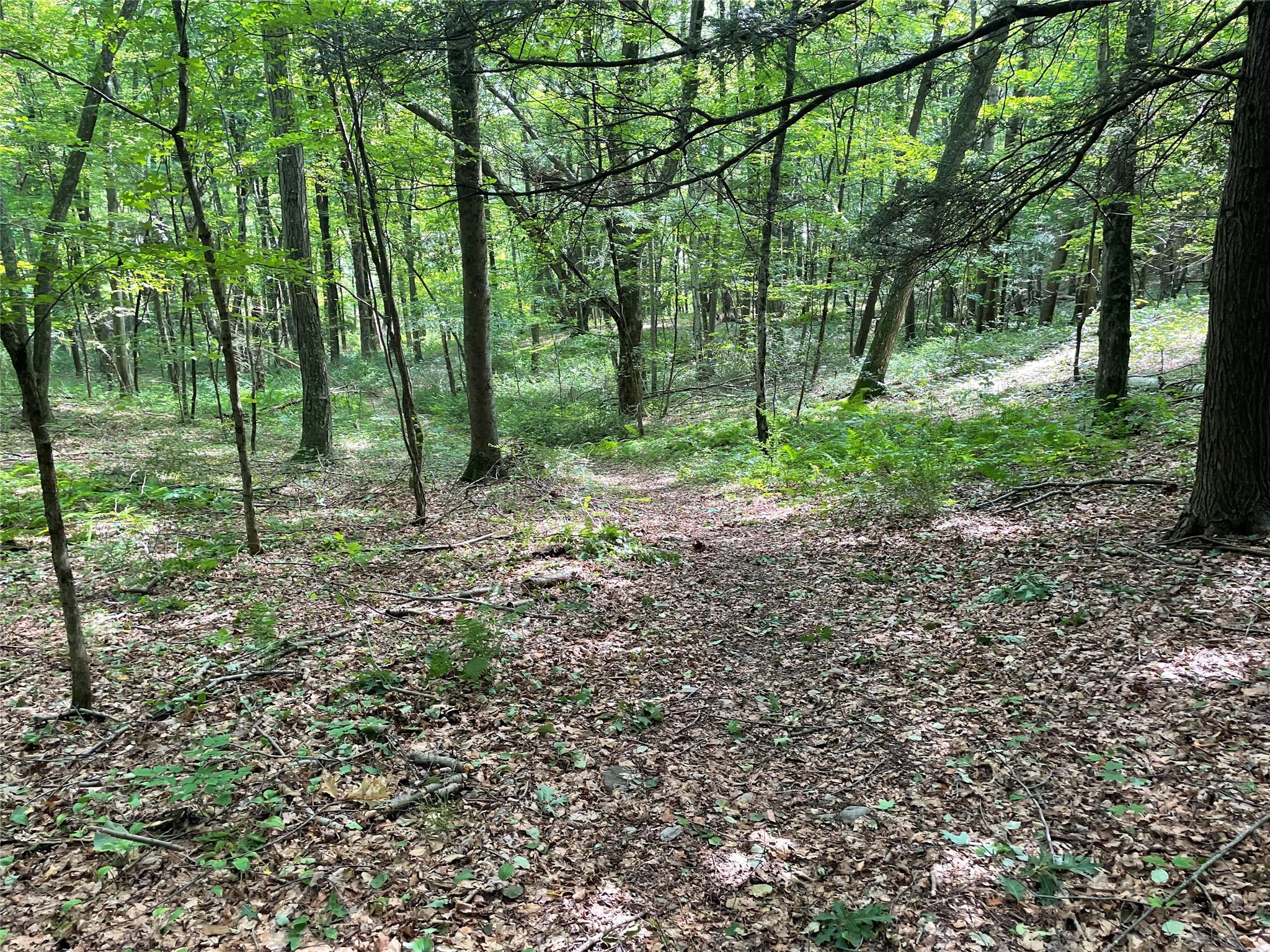 #16 photo, Fiddler's Bridge/Schoolhouse Rd, Clinton Corners , NY 