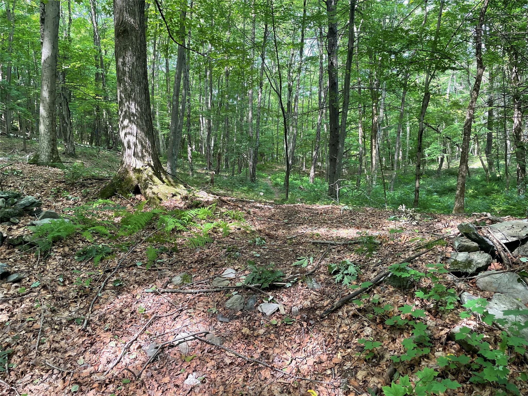 #18 photo, Fiddler's Bridge/Schoolhouse Rd, Clinton Corners , NY 