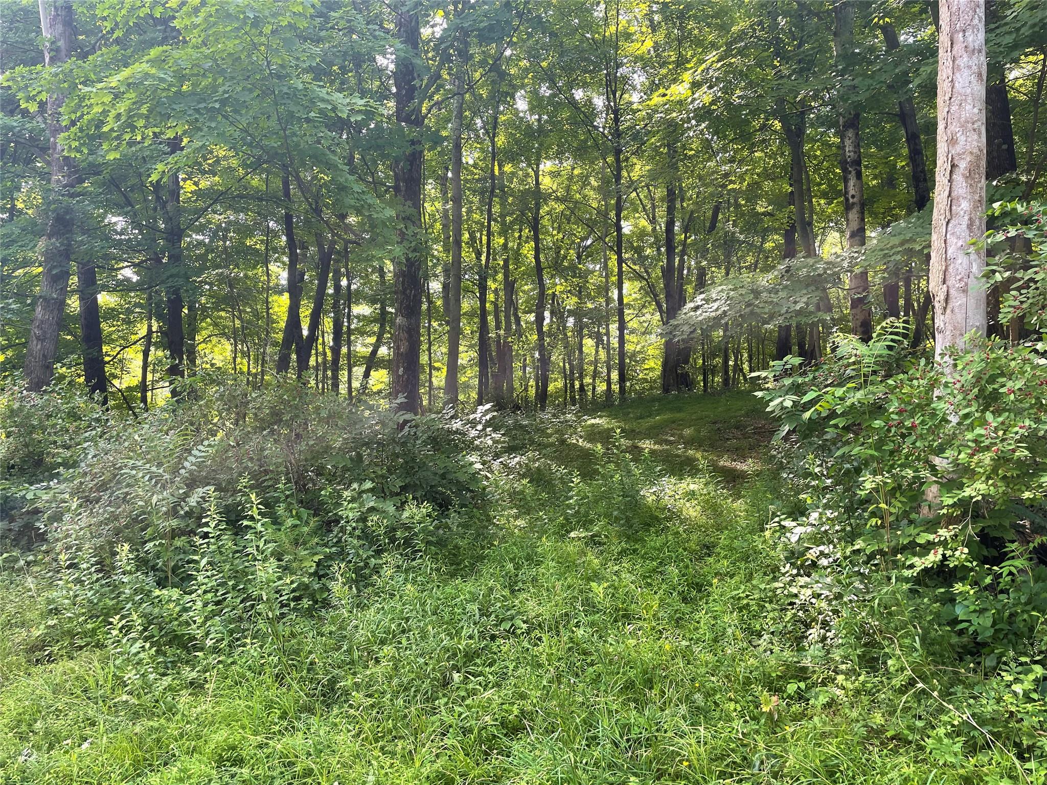 #3 photo, Fiddler's Bridge/Schoolhouse Rd, Clinton Corners , NY 