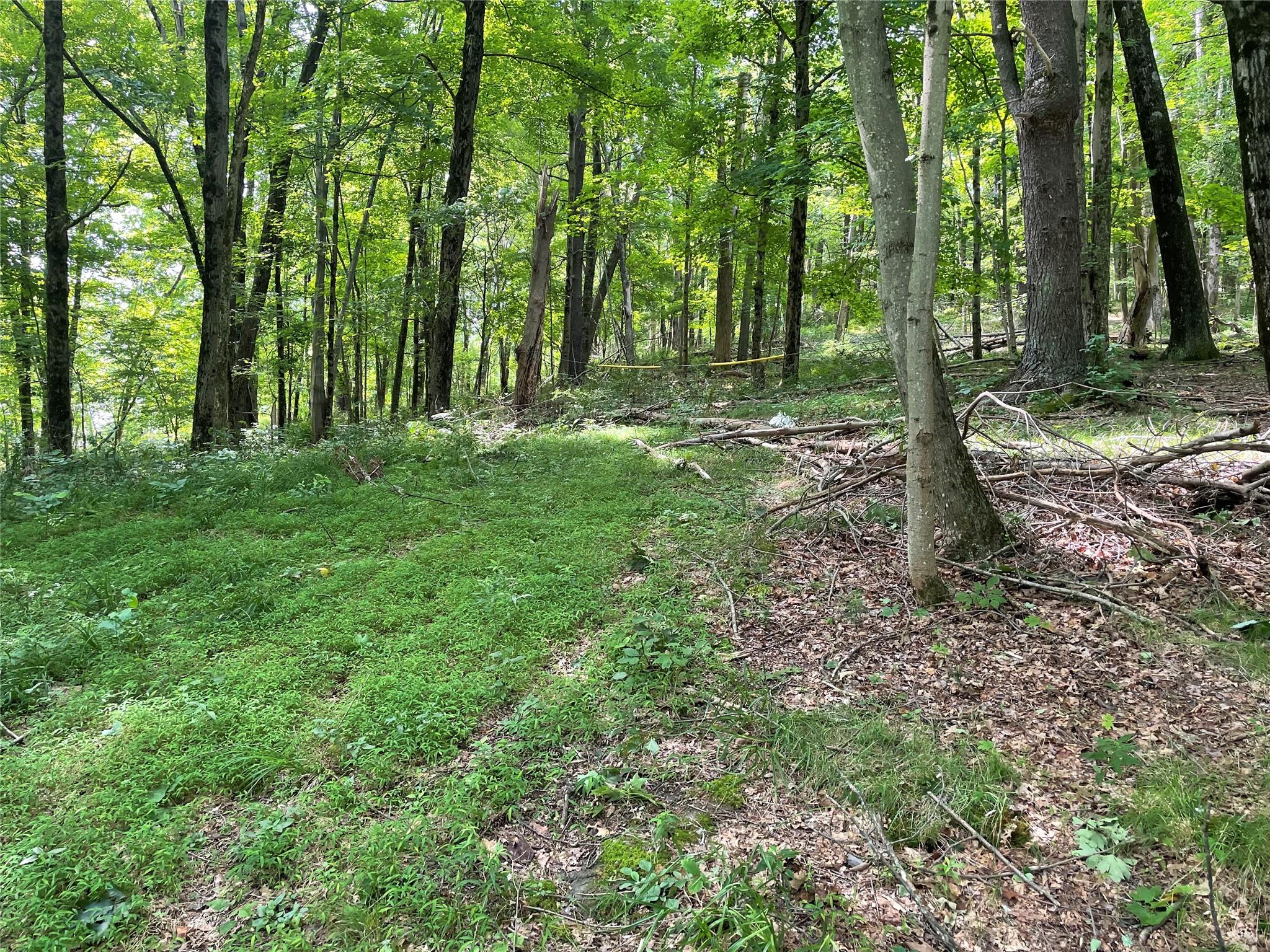 #4 photo, Fiddler's Bridge/Schoolhouse Rd, Clinton Corners , NY 