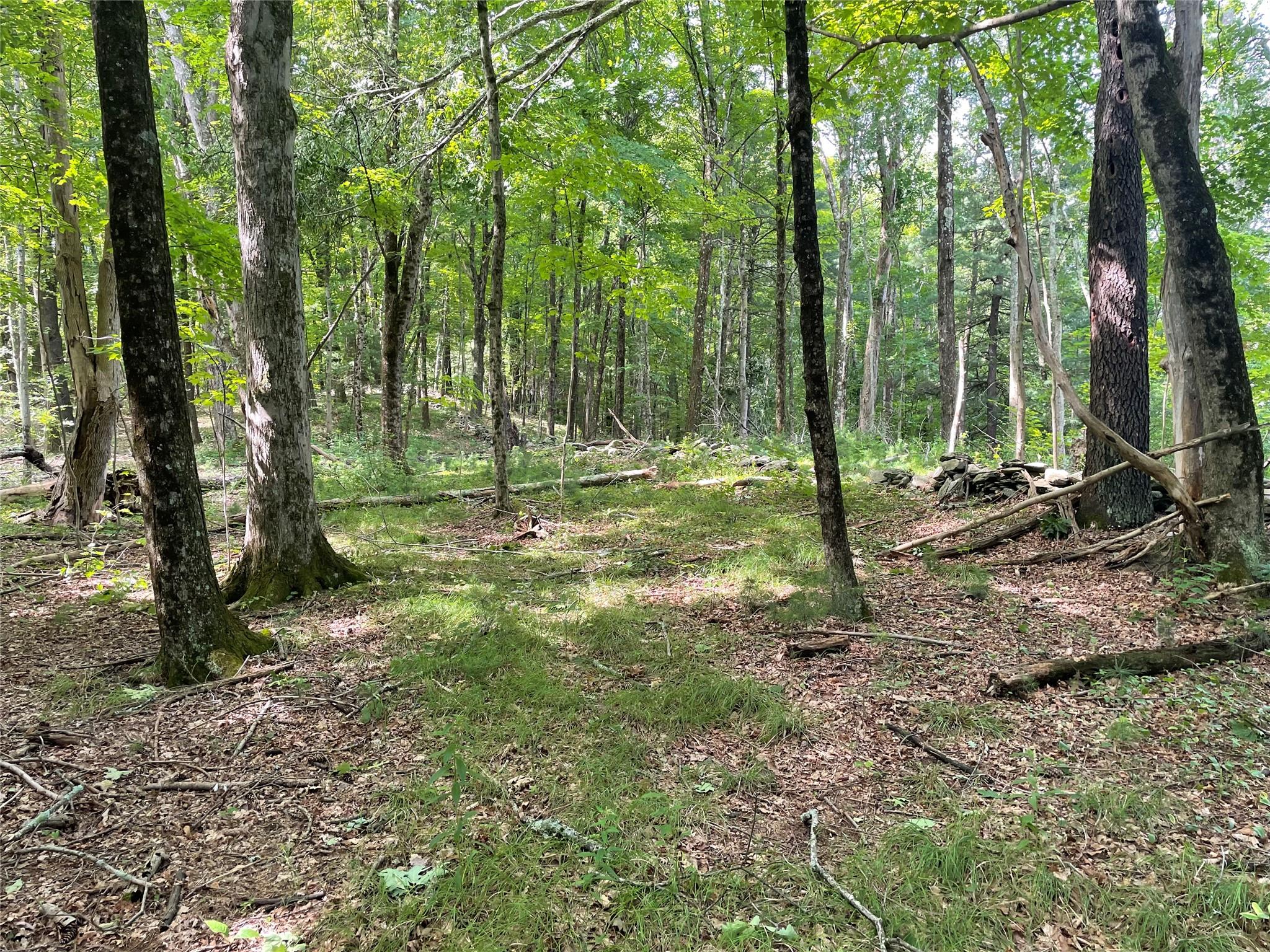 #8 photo, Fiddler's Bridge/Schoolhouse Rd, Clinton Corners , NY 