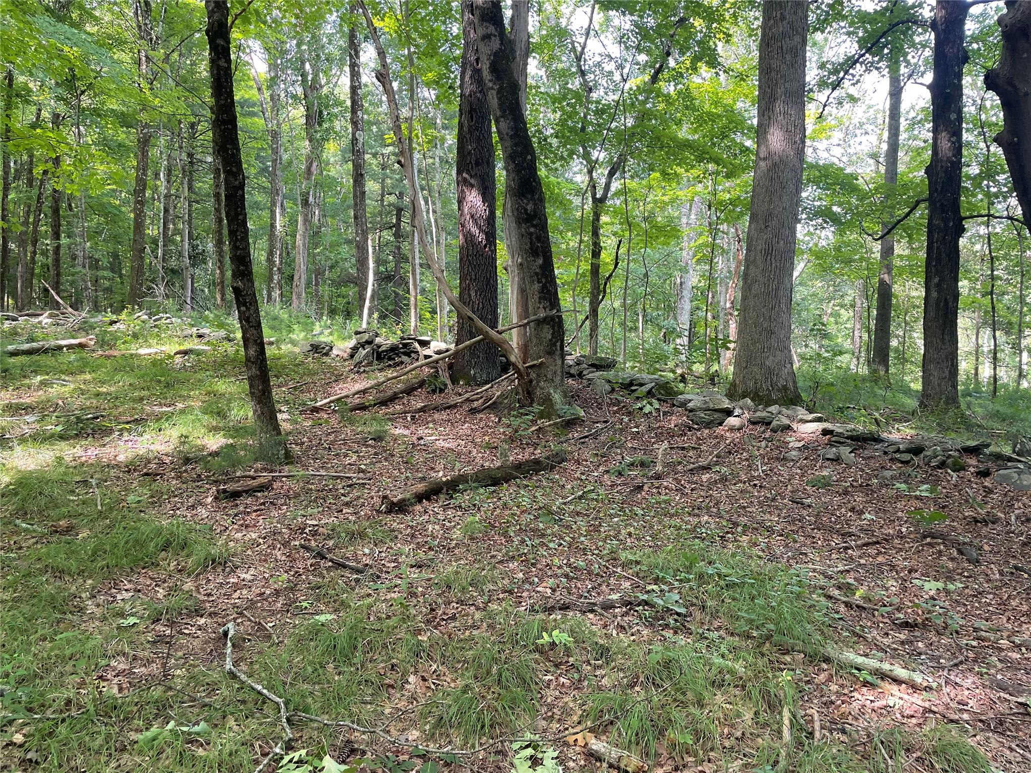 #9 photo, Fiddler's Bridge/Schoolhouse Rd, Clinton Corners , NY 