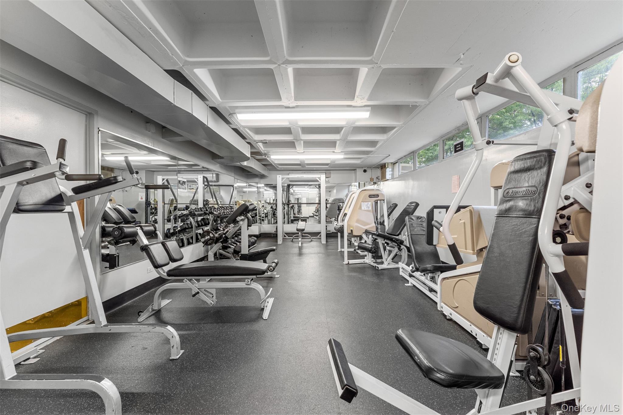 #16 photo, 152-18 Union Turnpike, クイーンズ区 Flushing , NY 11367