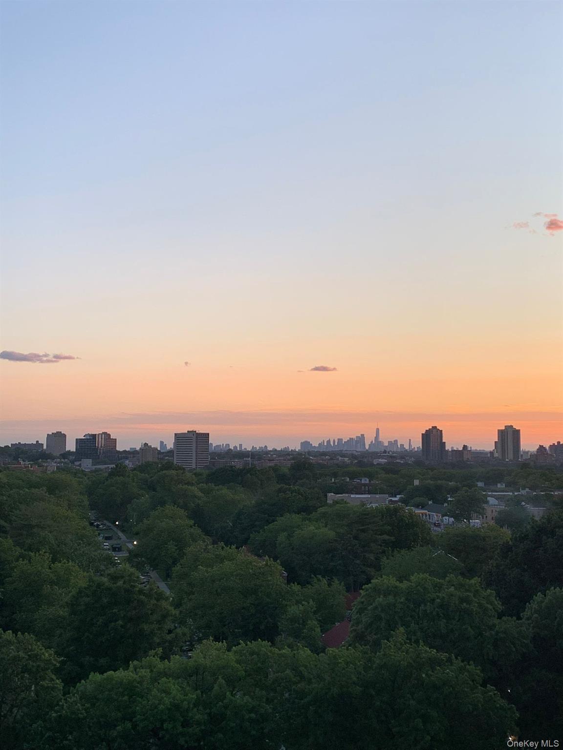 #19 photo, 152-18 Union Turnpike, クイーンズ区 Flushing , NY 11367