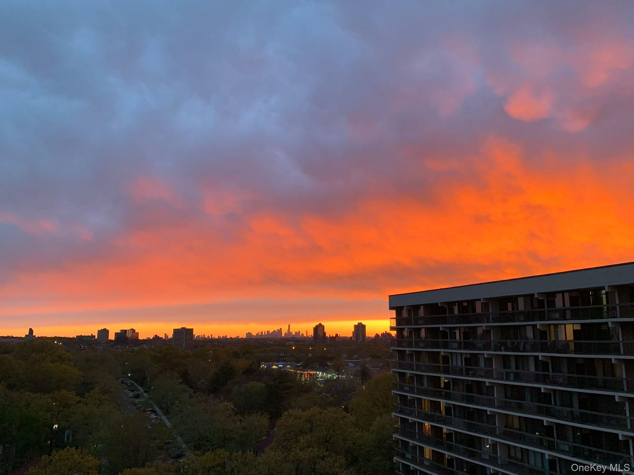 #20 photo, 152-18 Union Turnpike, クイーンズ区 Flushing , NY 11367