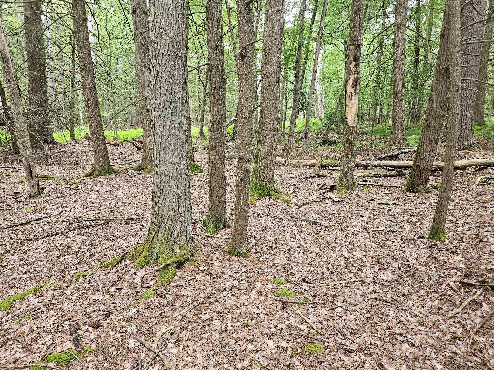 #10 photo, Highland Avenue, Smallwood , NY 12788