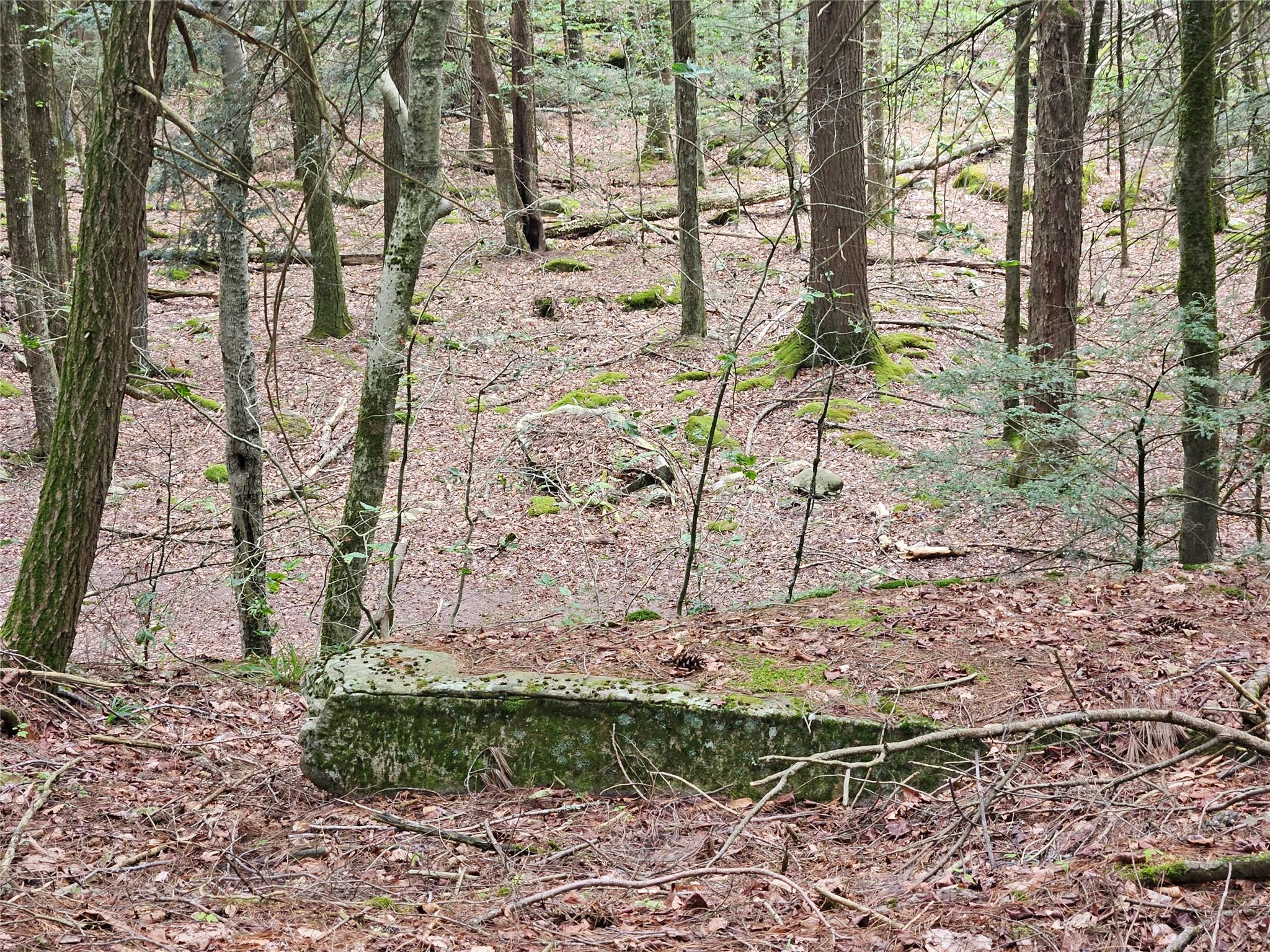 #11 photo, Highland Avenue, Smallwood , NY 12788