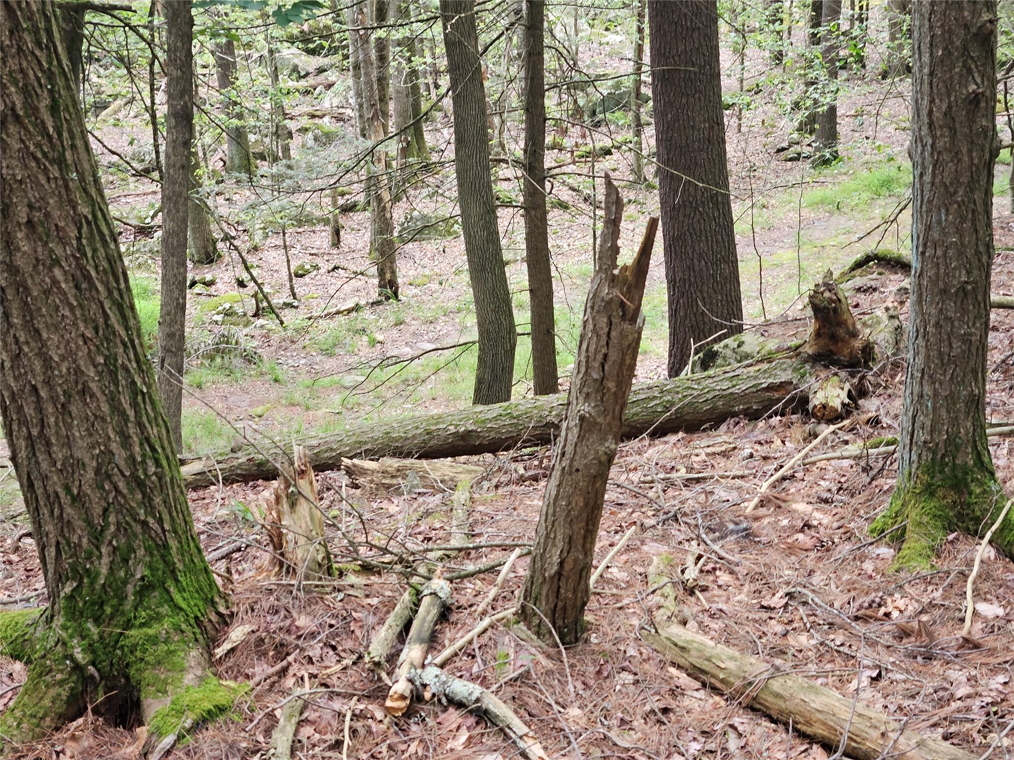 #12 photo, Highland Avenue, Smallwood , NY 12788