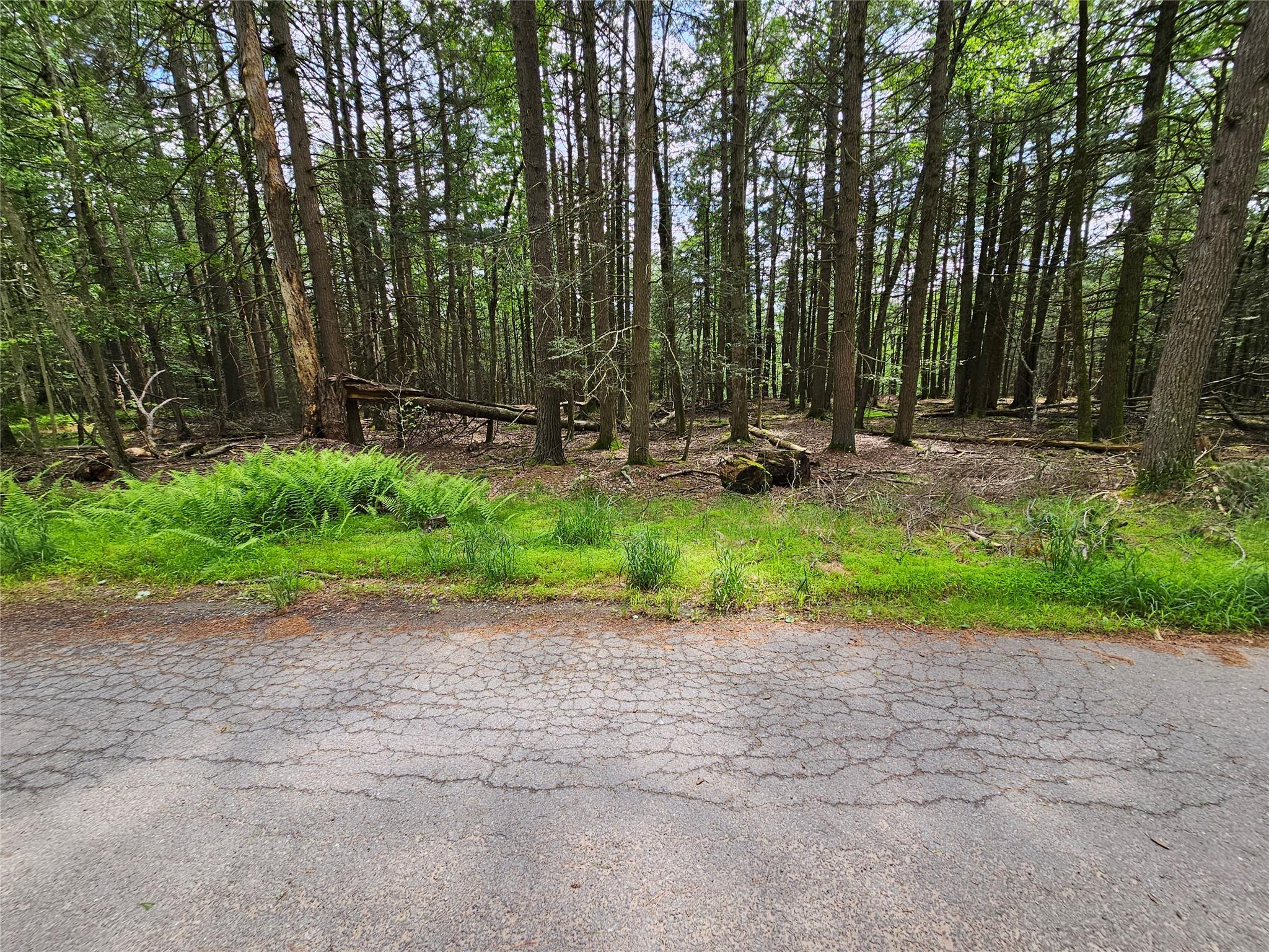 #3 photo, Highland Avenue, Smallwood , NY 12788