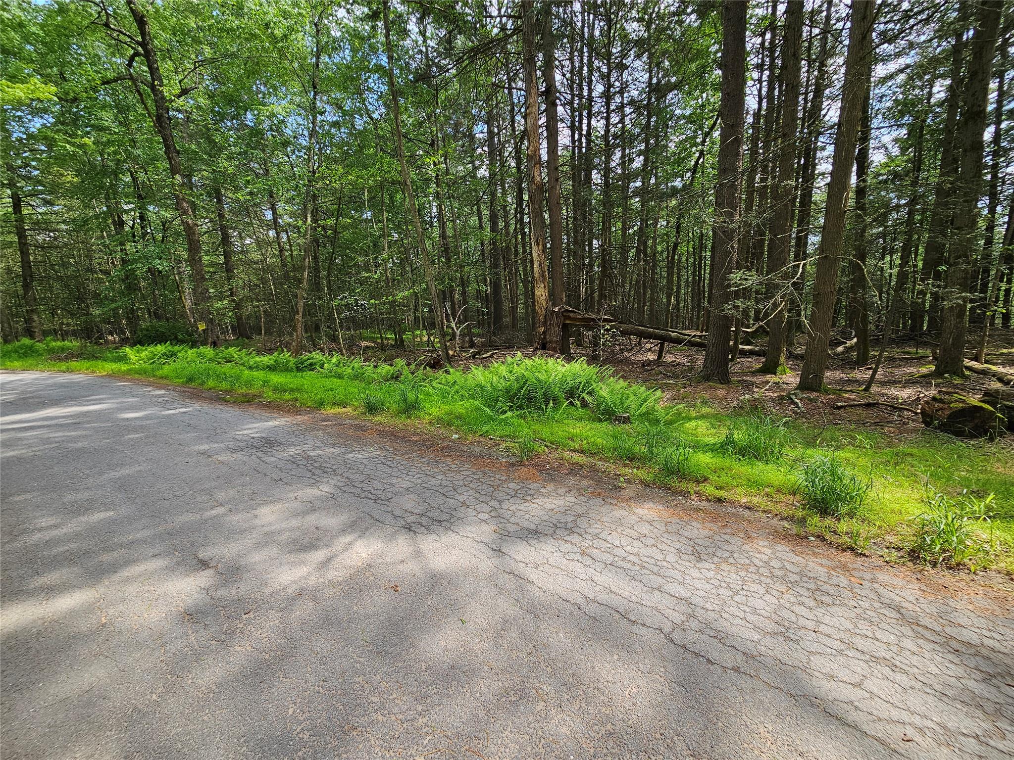 #6 photo, Highland Avenue, Smallwood , NY 12788