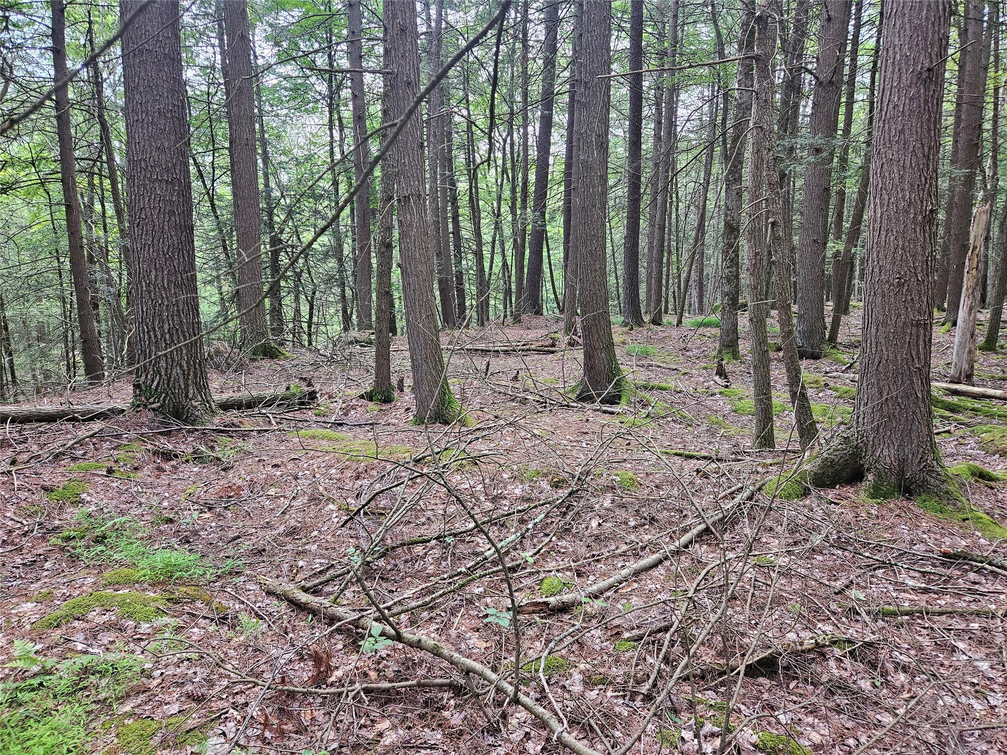 #7 photo, Highland Avenue, Smallwood , NY 12788