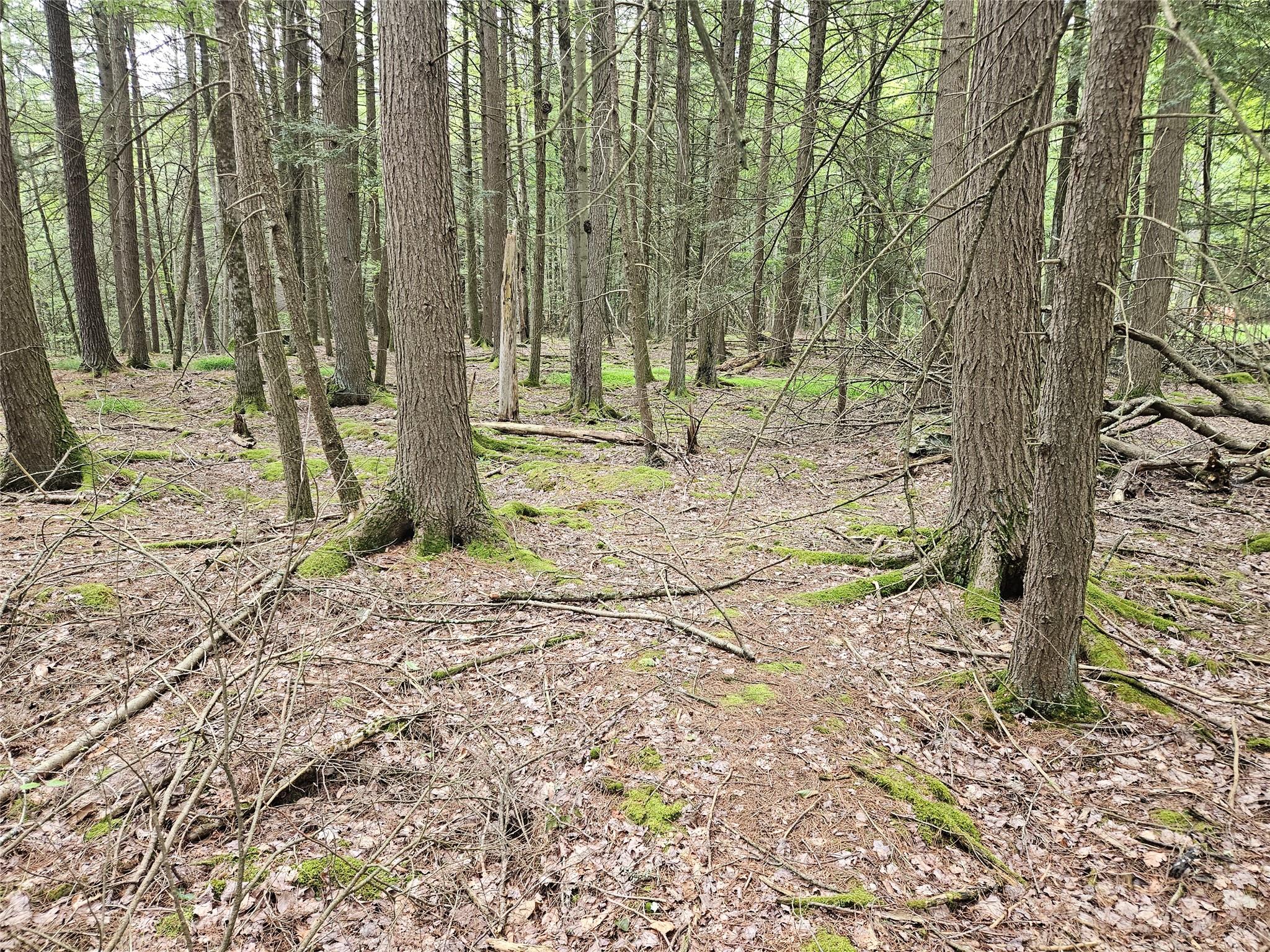 #8 photo, Highland Avenue, Smallwood , NY 12788