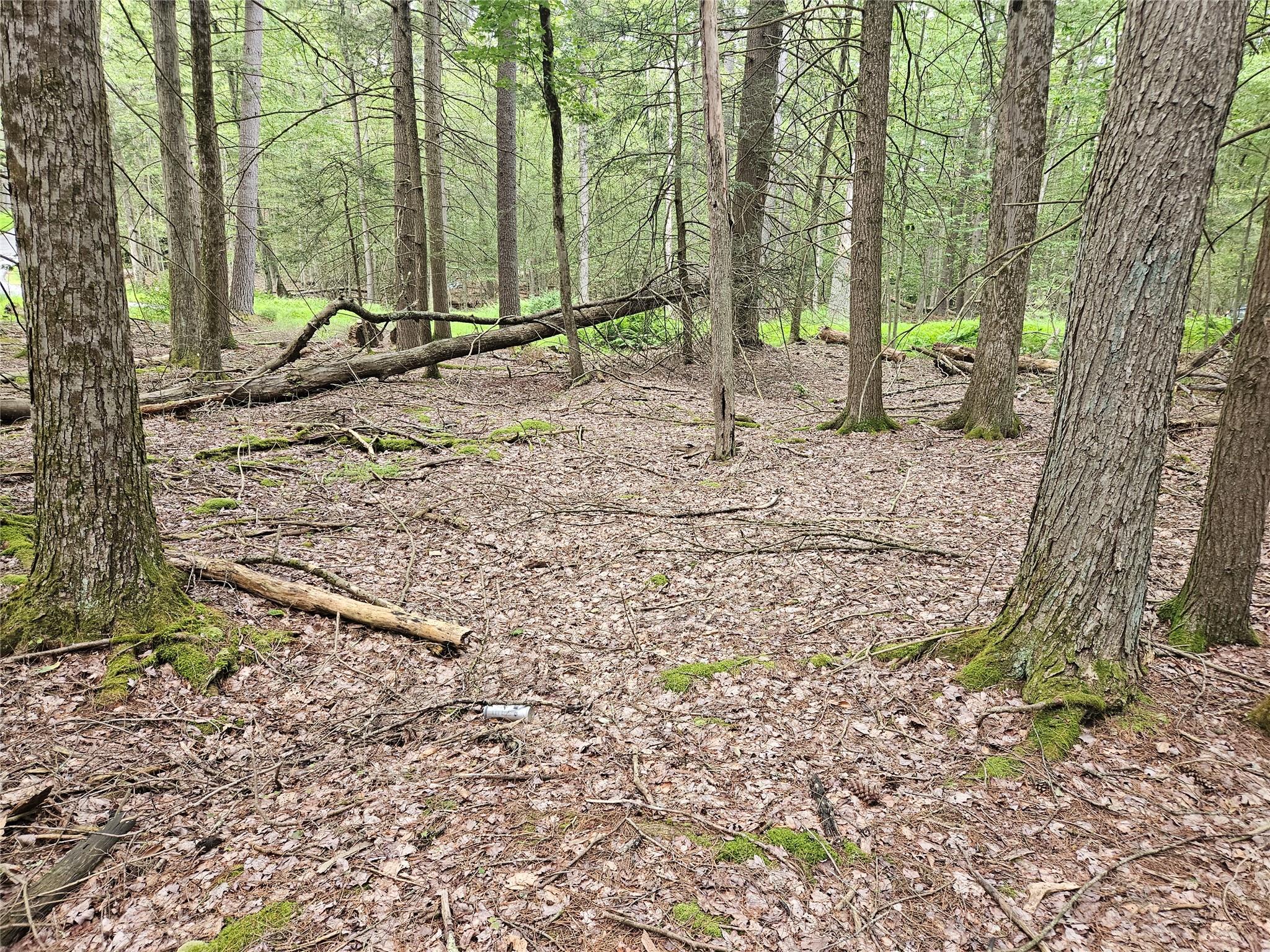 #9 photo, Highland Avenue, Smallwood , NY 12788