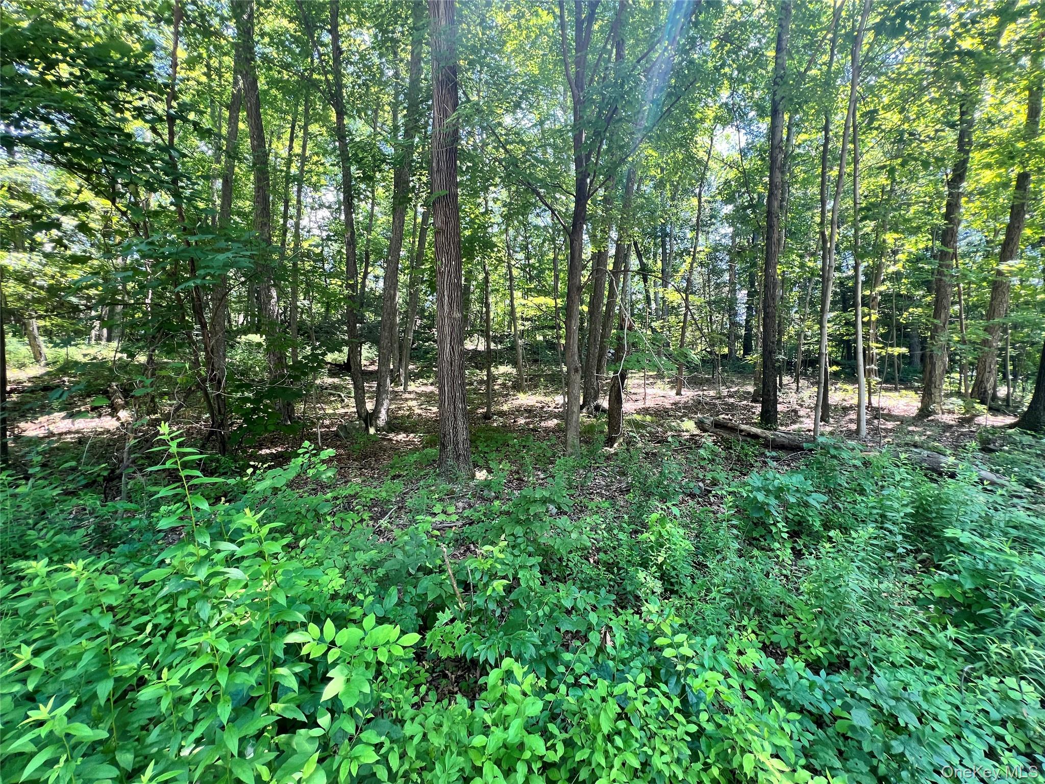 #4 photo, 17 Vanessa Lane, Staatsburg , NY 12580