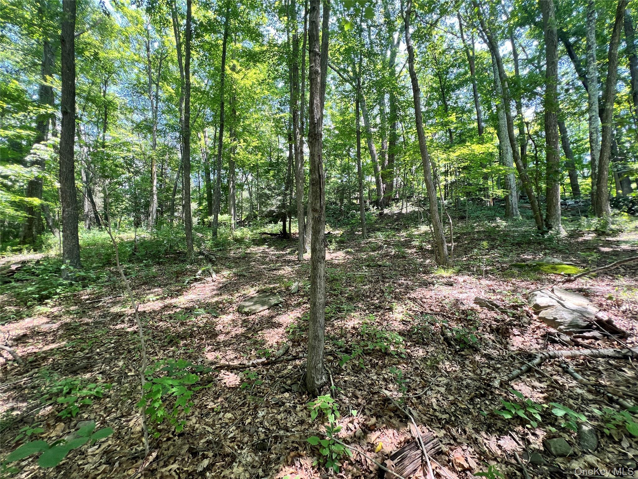 #5 photo, 17 Vanessa Lane, Staatsburg , NY 12580