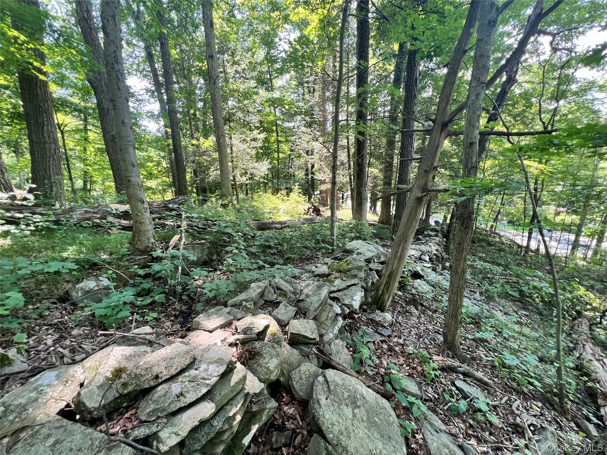 #6 photo, 17 Vanessa Lane, Staatsburg , NY 12580