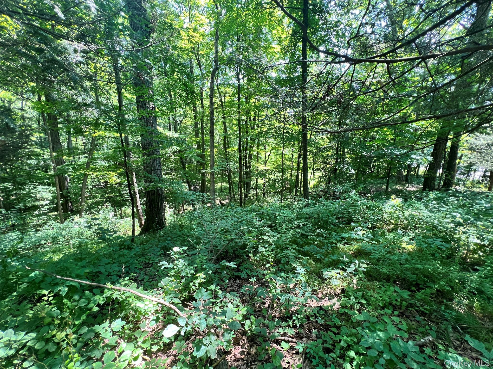 #7 photo, 17 Vanessa Lane, Staatsburg , NY 12580