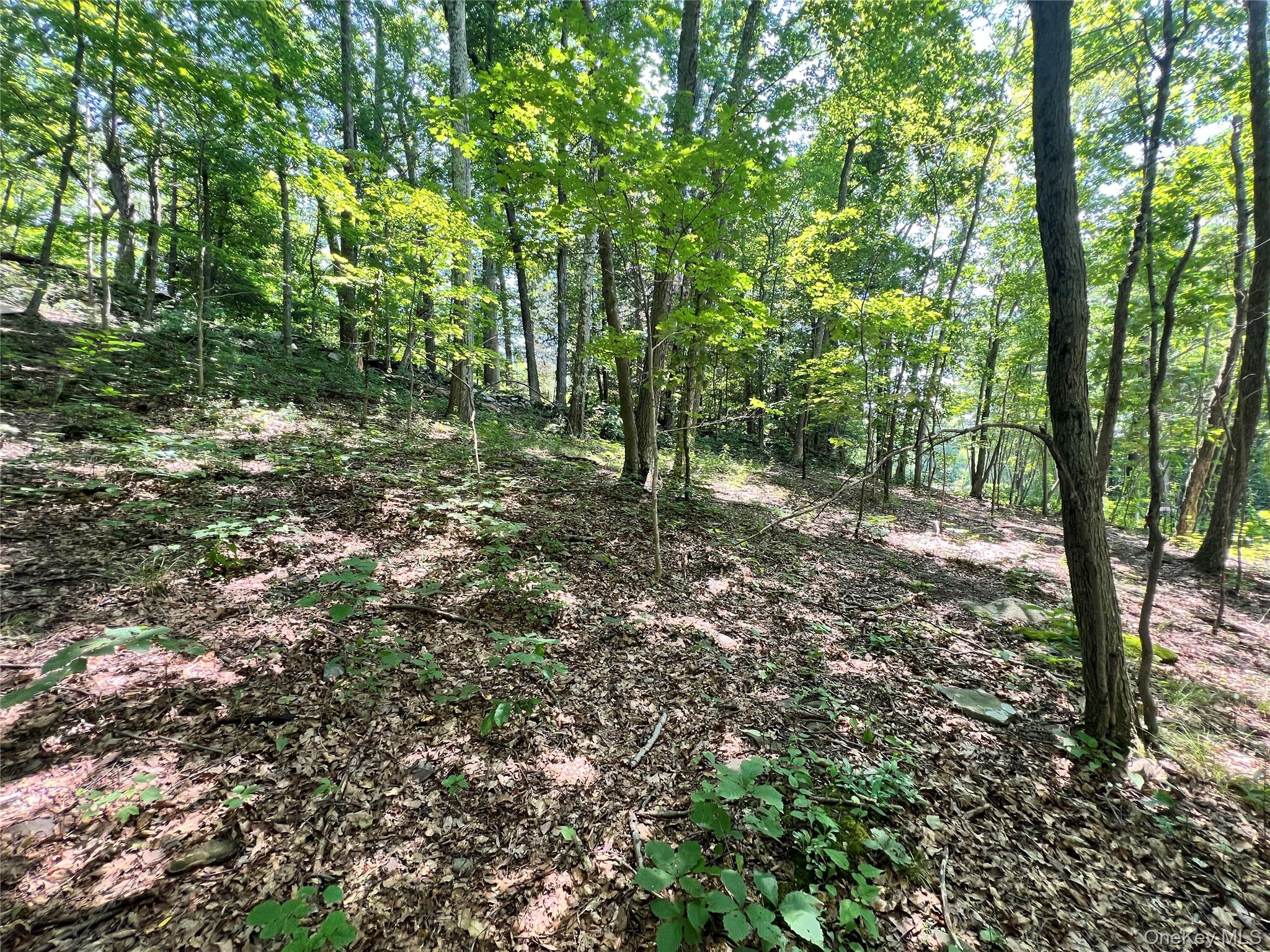 #8 photo, 17 Vanessa Lane, Staatsburg , NY 12580