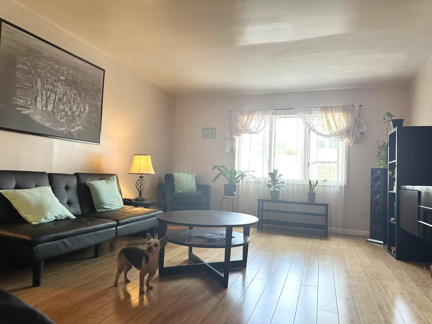 #3 photo, 78-27 90th Avenue, クイーンズ区 Woodhaven , NY 11421