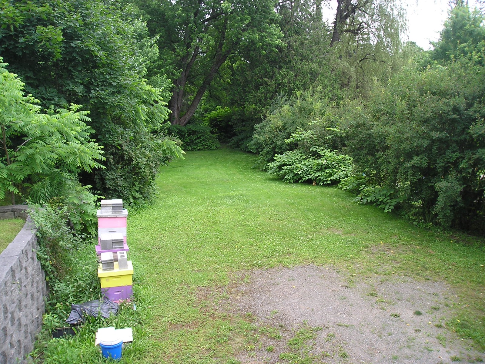 #15 photo, 10 Lancaster Street, Cherry Valley , NY 13320