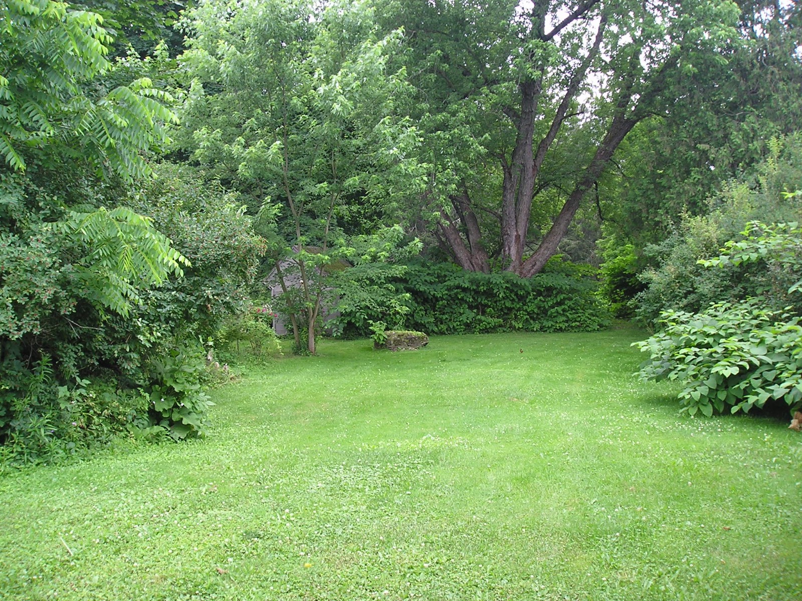 #17 photo, 10 Lancaster Street, Cherry Valley , NY 13320