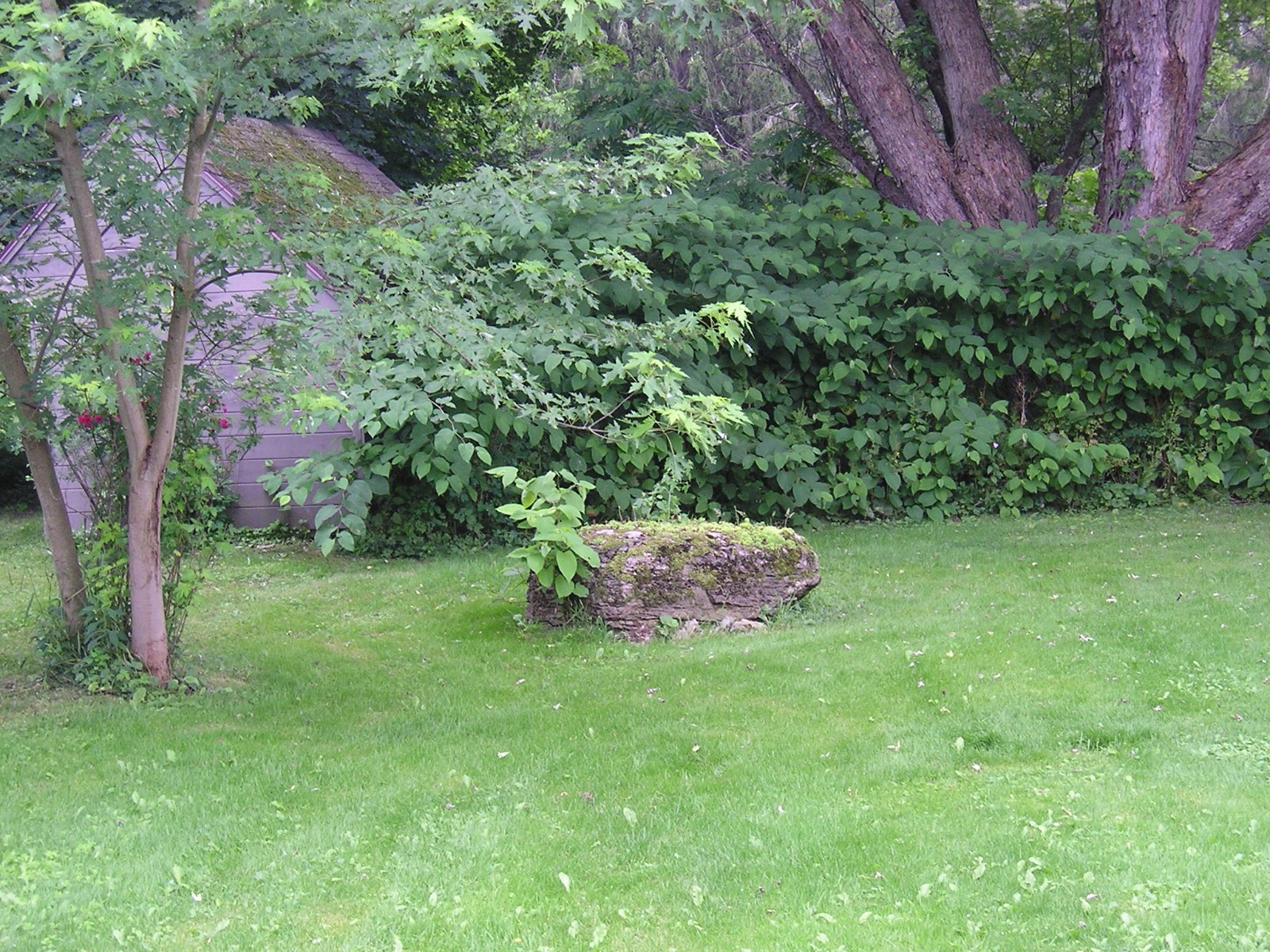 #18 photo, 10 Lancaster Street, Cherry Valley , NY 13320