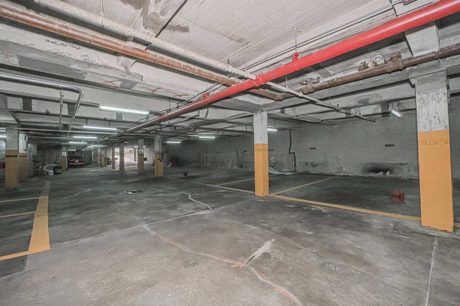 #10 photo, 36 Dahill Rd, #4F, ブルックリン区 Kensington , NY 11218