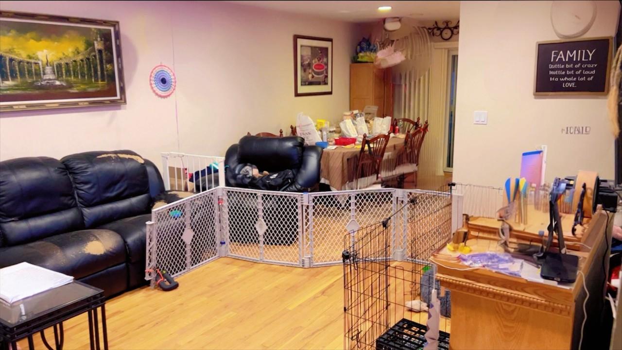 #5 photo, 145 Dartmouth Drive, 长岛 Hicksville , NY 11801