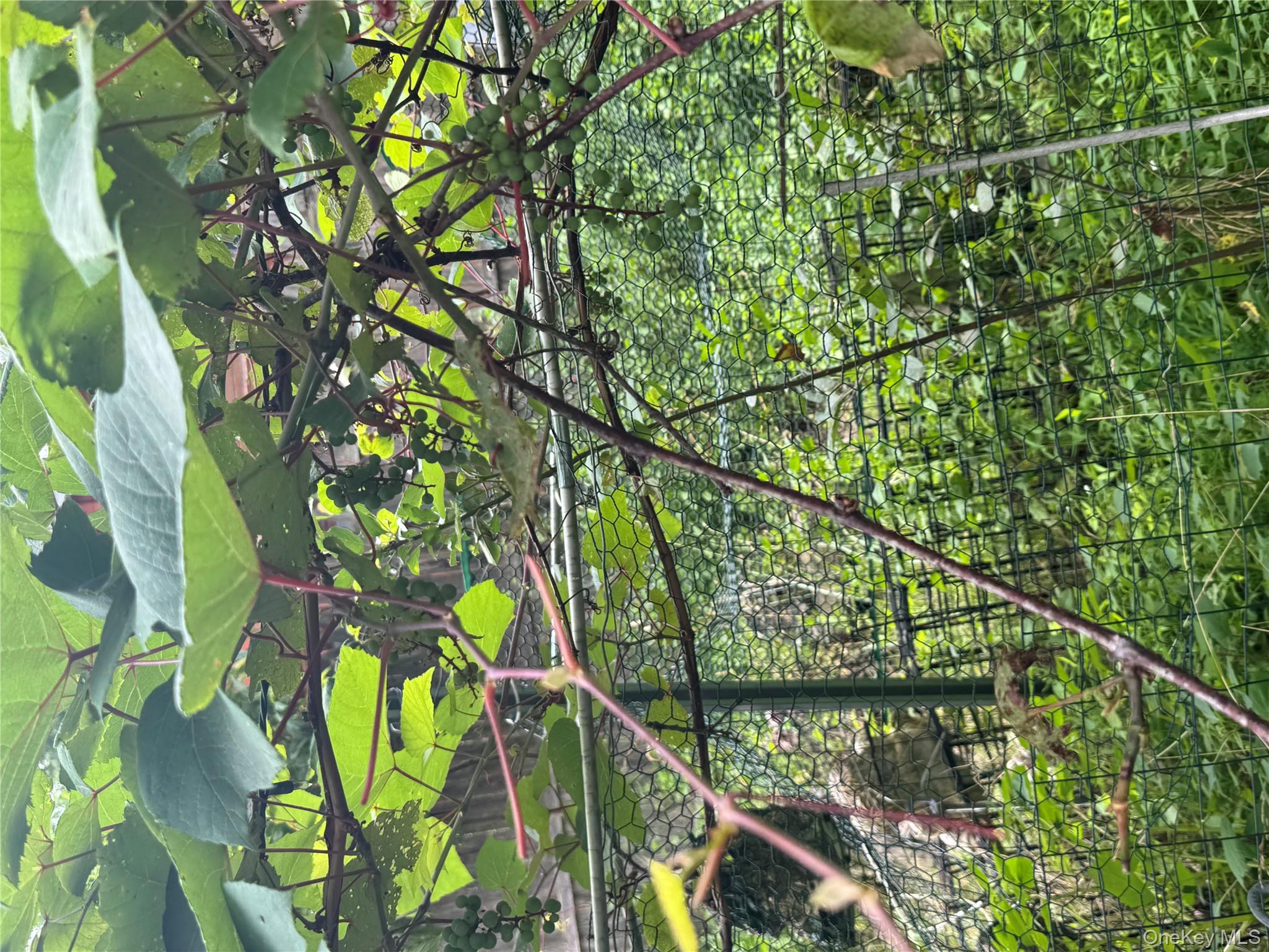 #20 photo, 89 Minisink Trail, Glen Spey , NY 12737