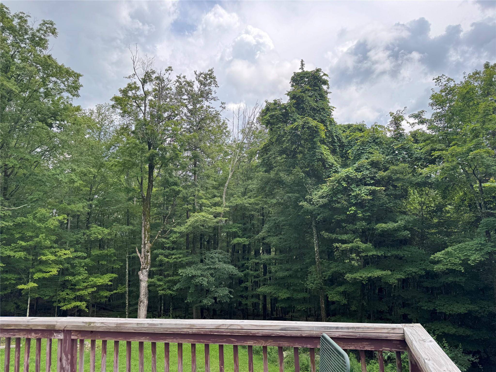 #2 photo, 108 Todd Road, Woodbourne , NY 12788