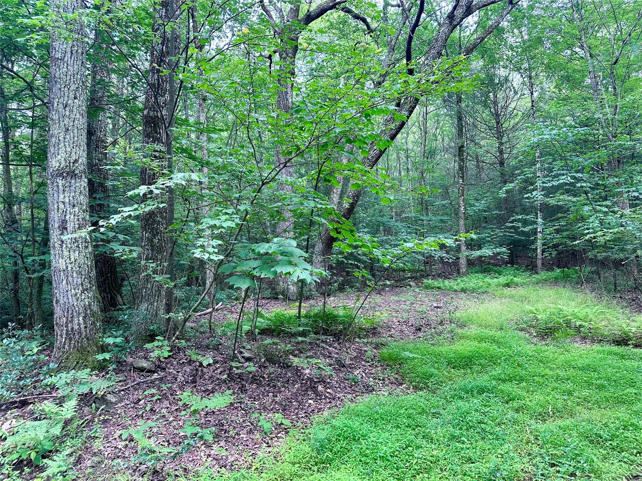 #4 photo, TBD Upper Cherrytown, Kerhonkson , NY 12446