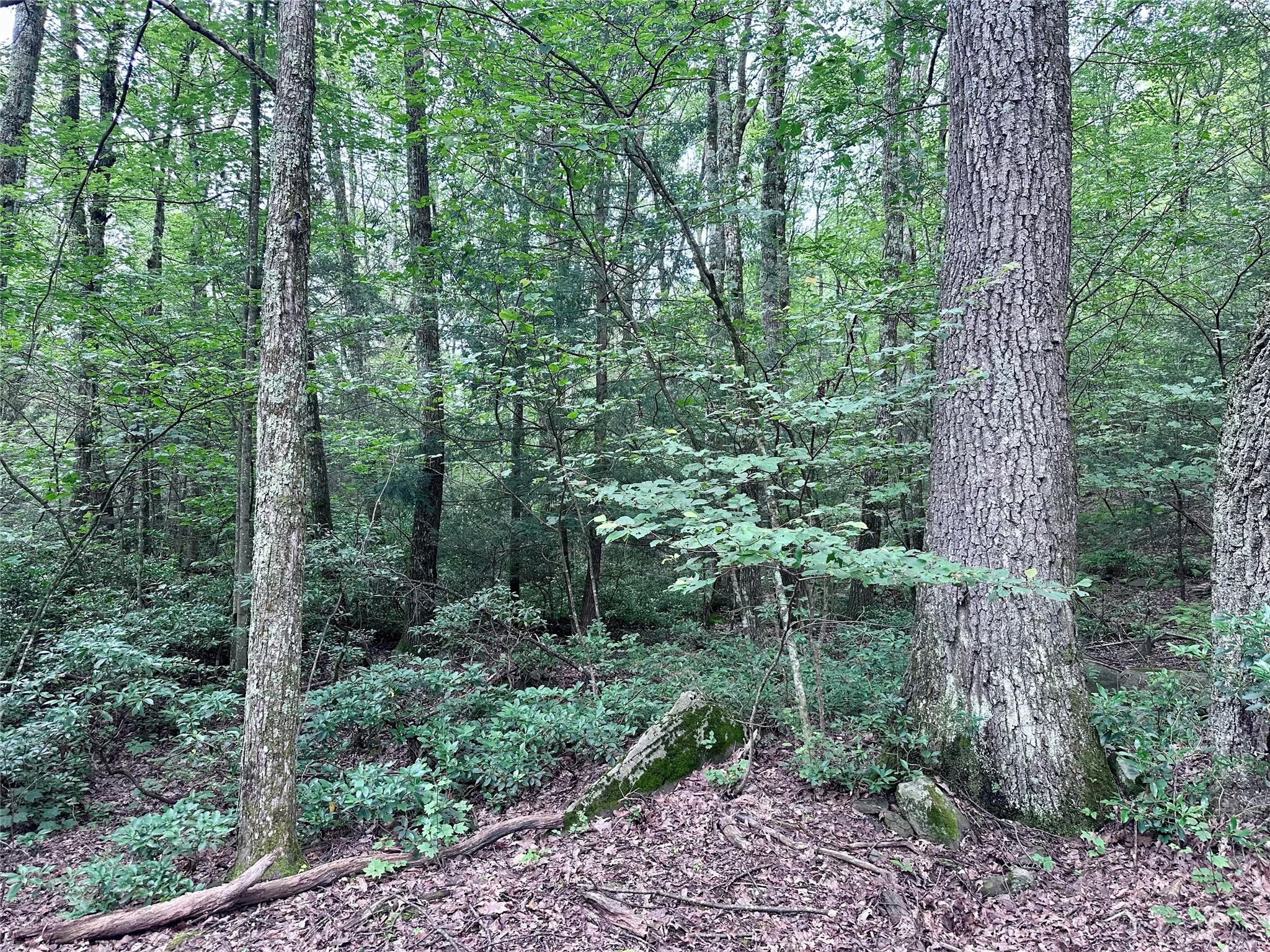 #5 photo, TBD Upper Cherrytown, Kerhonkson , NY 12446