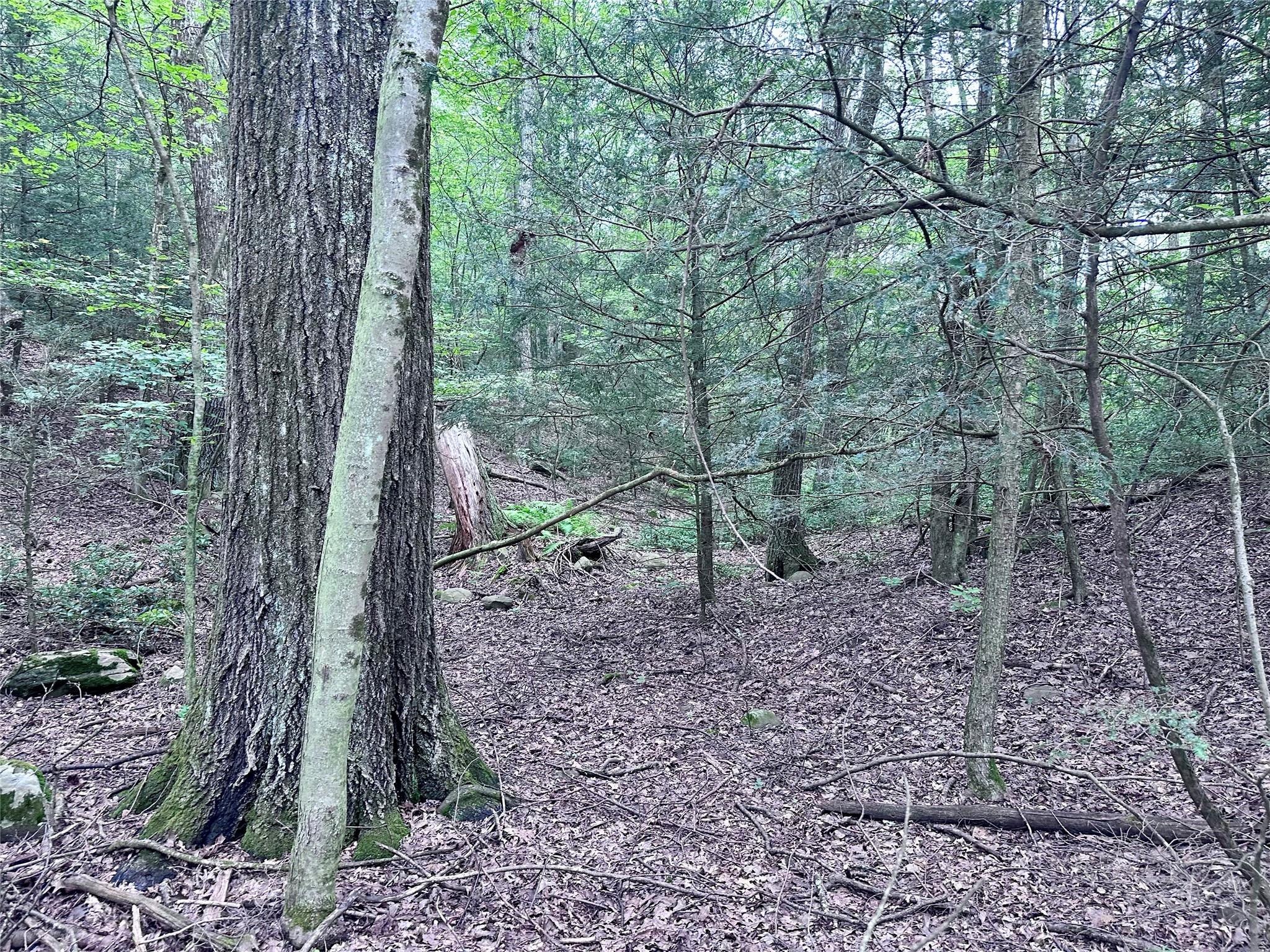 #8 photo, TBD Upper Cherrytown, Kerhonkson , NY 12446