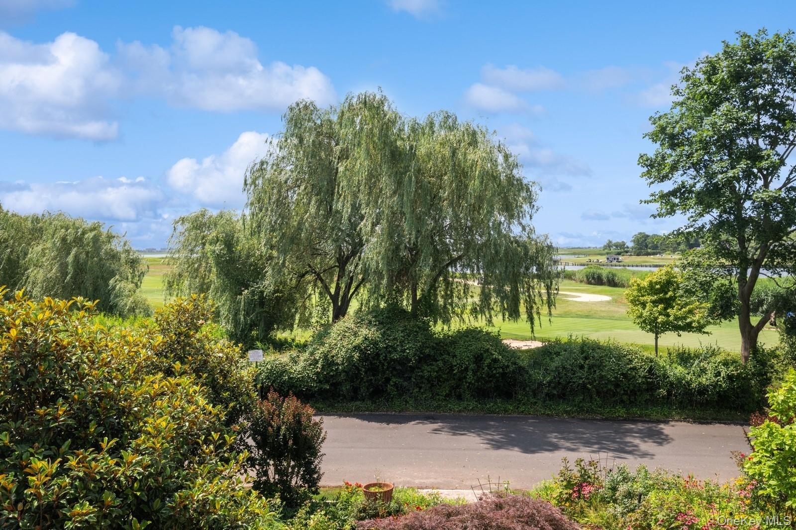 #2 photo, 328 W Ivy Hill Road, ナッソー郡 Woodsburgh , NY 11598