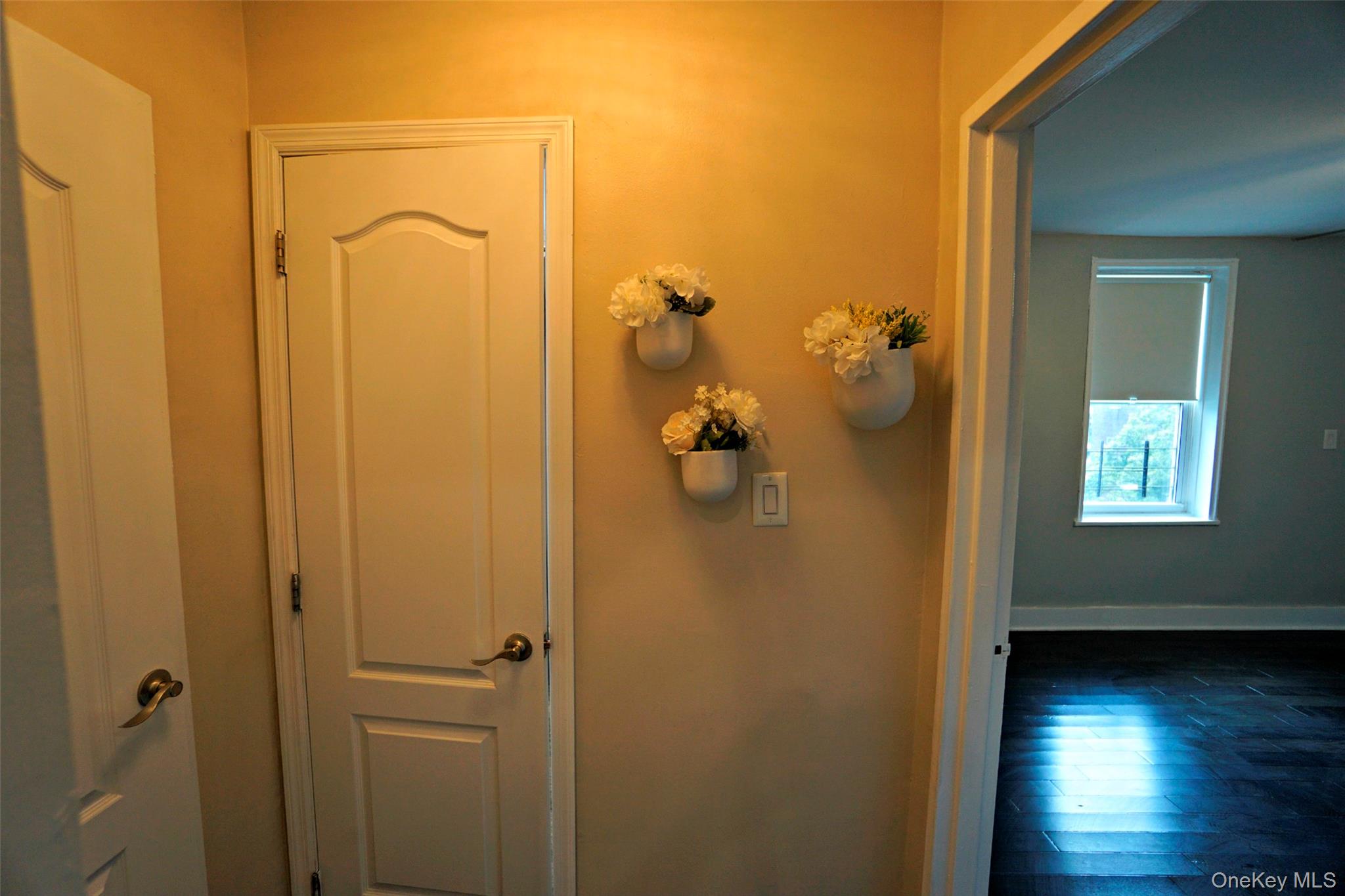 #8 photo, 7281 113th Street, クイーンズ区 Forest Hills , NY 11375