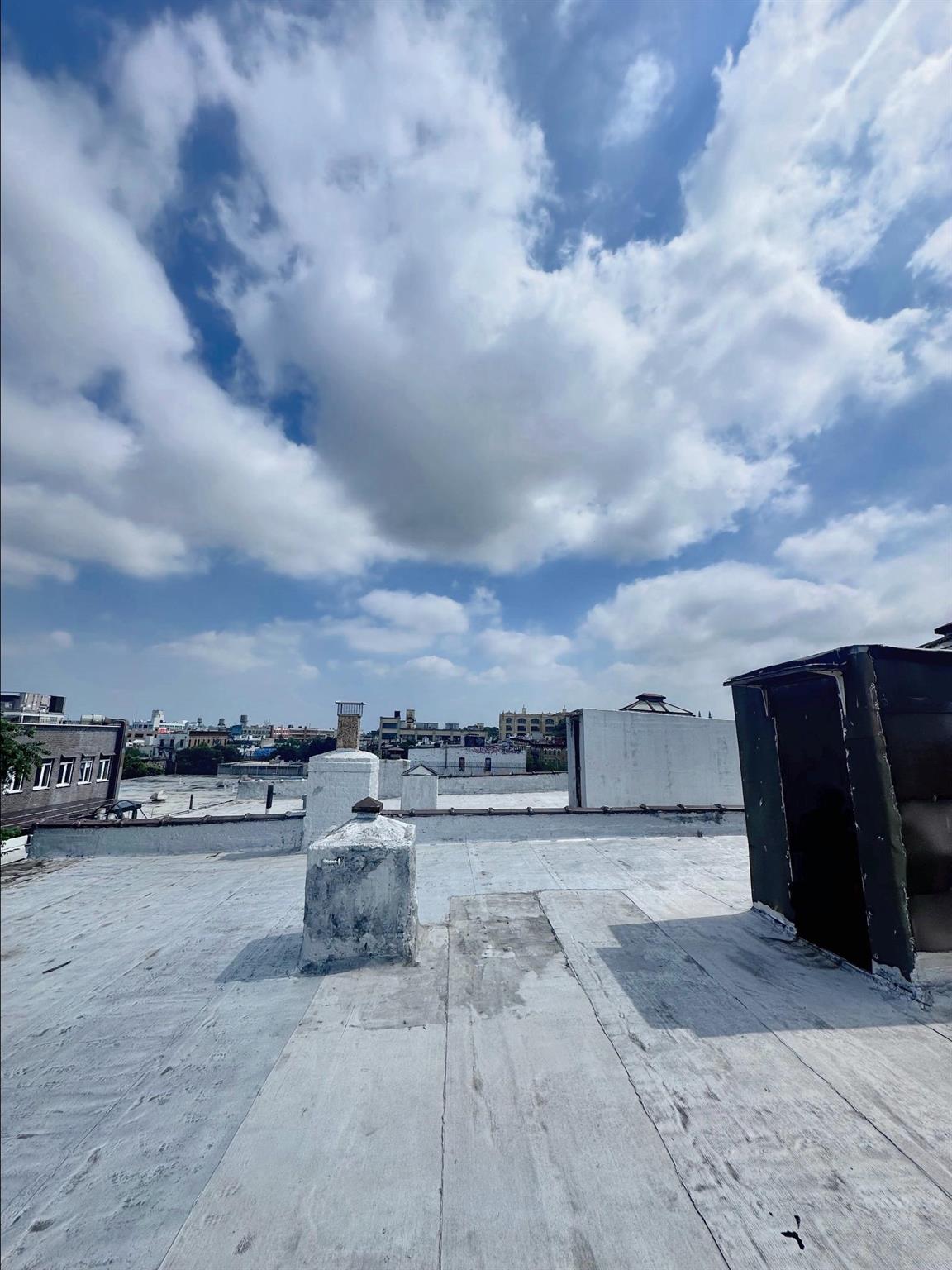 #15 photo, 1243 Willoughby Avenue, ブルックリン区 Brooklyn , NY 11237