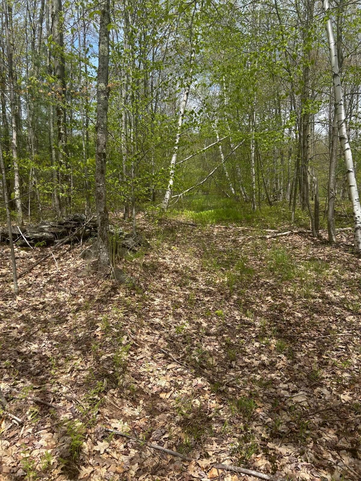 #13 photo, 0 Appaloosa Trl, Walton , NY 13856