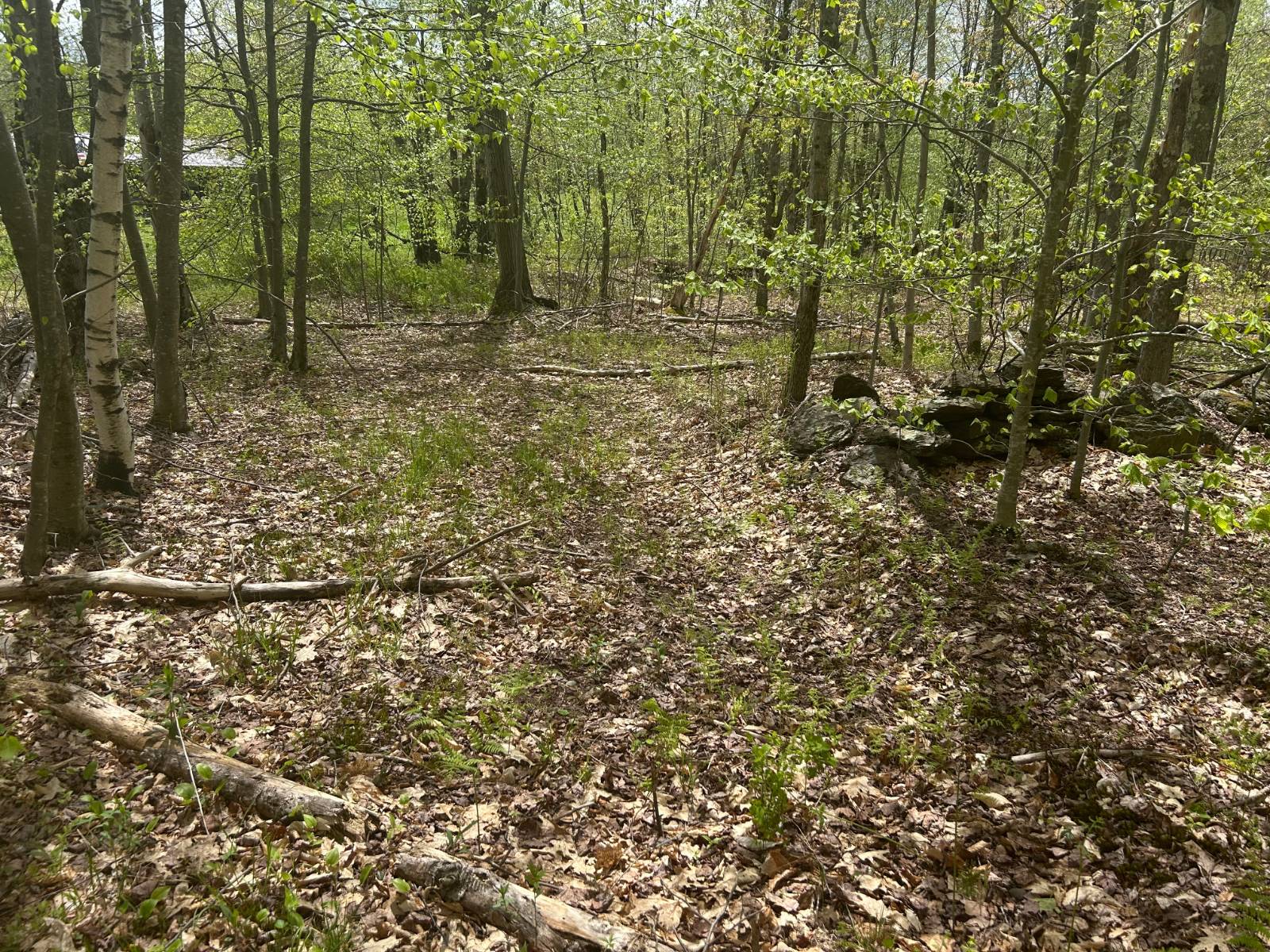 #14 photo, 0 Appaloosa Trl, Walton , NY 13856