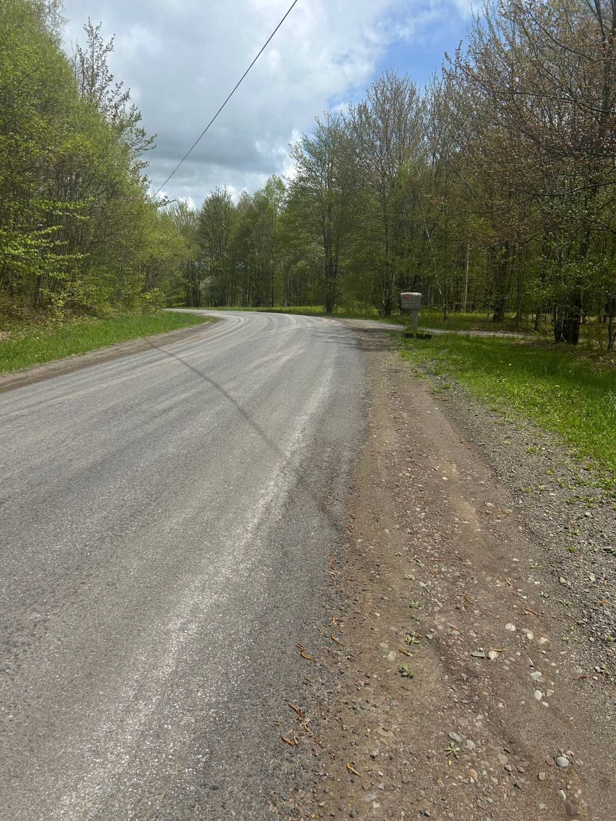 #2 photo, 0 Appaloosa Trl, Walton , NY 13856