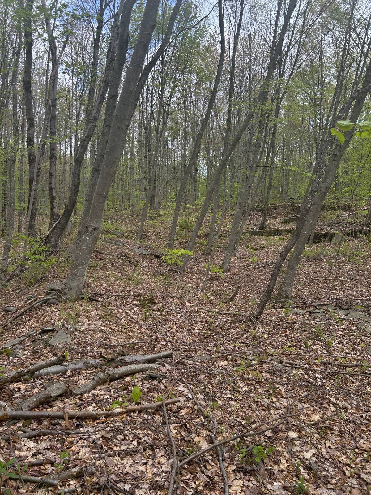 #6 photo, 0 Appaloosa Trl, Walton , NY 13856