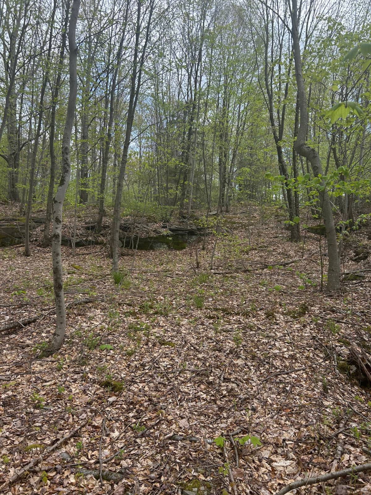 #7 photo, 0 Appaloosa Trl, Walton , NY 13856