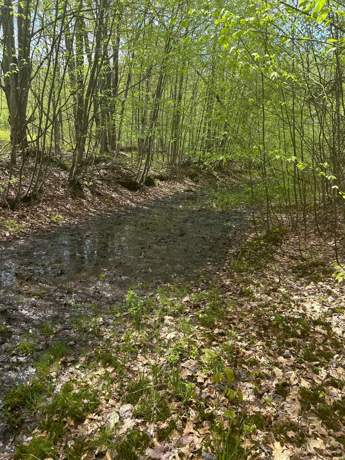 #8 photo, 0 Appaloosa Trl, Walton , NY 13856