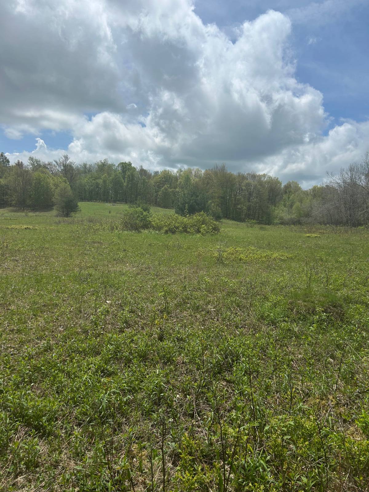 #9 photo, 0 Appaloosa Trl, Walton , NY 13856