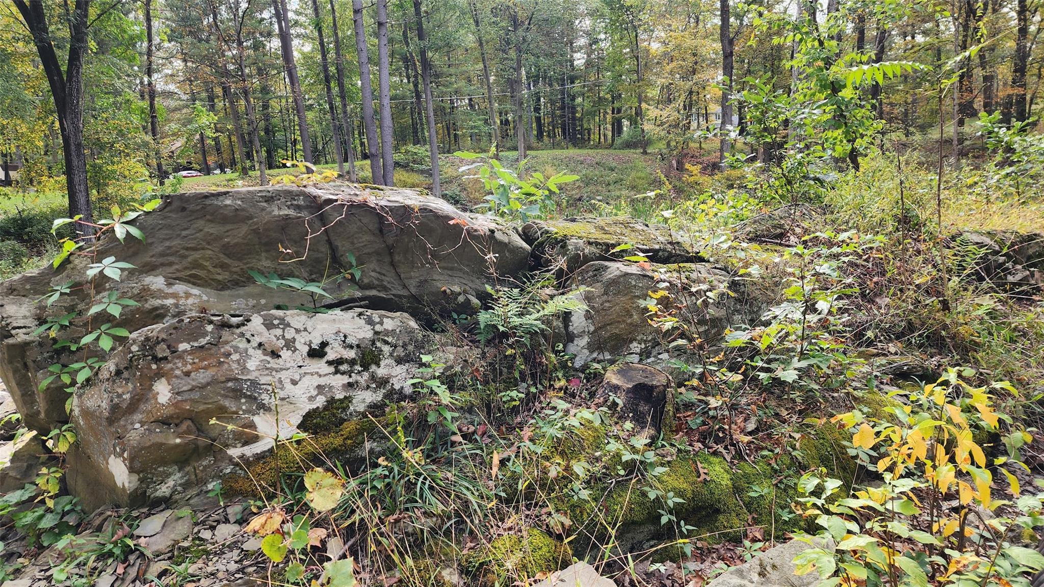 #5 photo, 11 Stoutenburgh Drive, Hyde Park , NY 12538